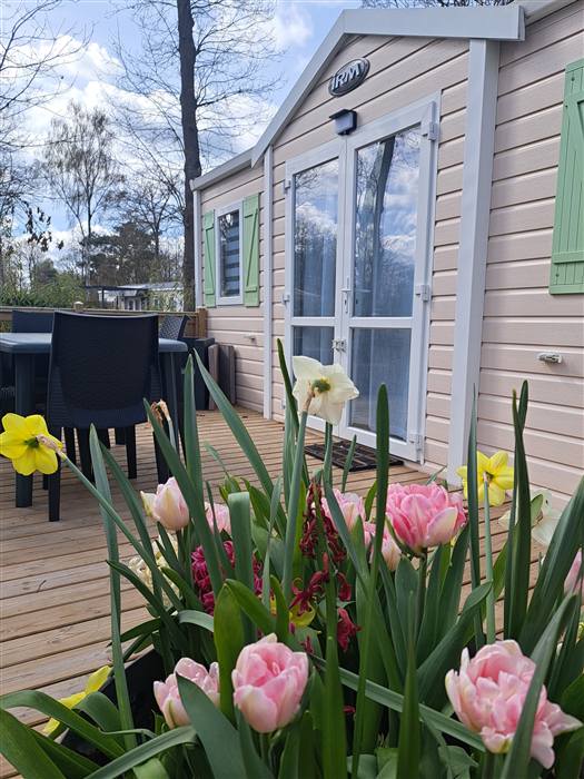 Le Mobil-Home Confort — photo 3